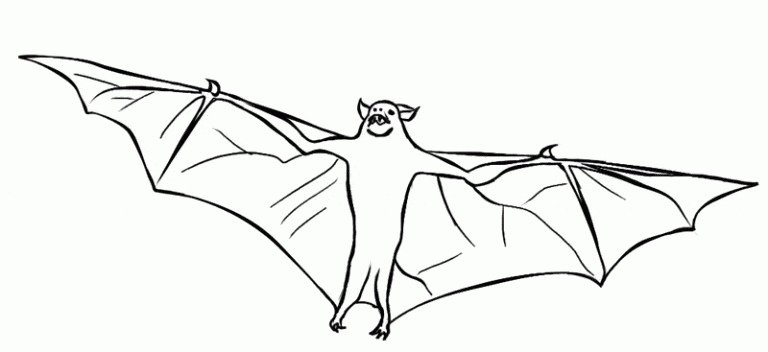 10-bat-coloring-page-l.gif - Learn About Nature