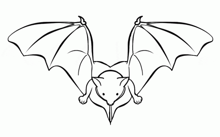 12-bat-coloring-page-l.gif - Learn About Nature