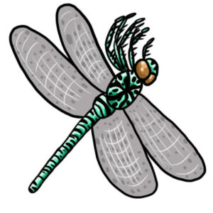 Free Dragonfly Clip Art - Learn About Nature