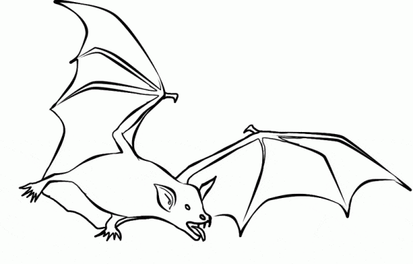 14-bat-coloring-page-l.gif - Learn About Nature