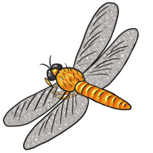 Free Dragonfly Clip Art - Learn About Nature