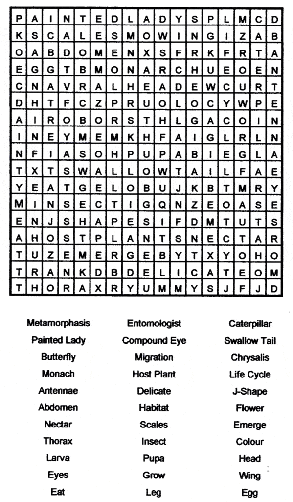 Butterfly Word Search - Learn About Nature