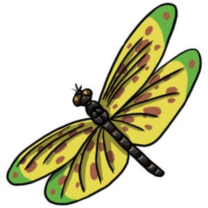 Free Dragonfly Clip Art - Learn About Nature