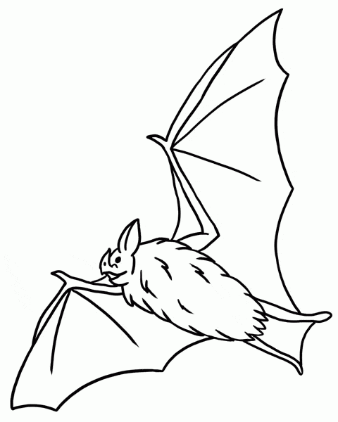 4-bat-coloring-page-l-1.gif - Learn About Nature