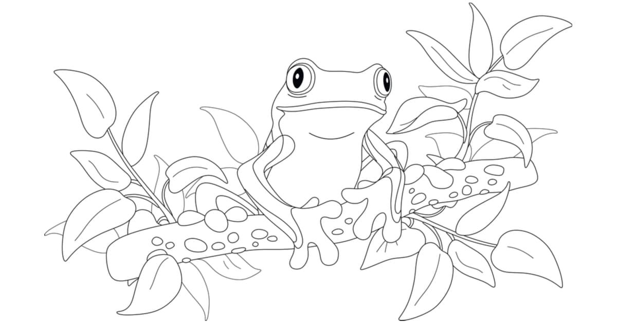 Frog Coloring Pages Drawings Learn About Nature