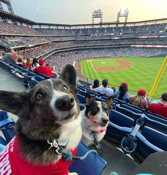 MLB Bark in the Park Events Learn About Nature