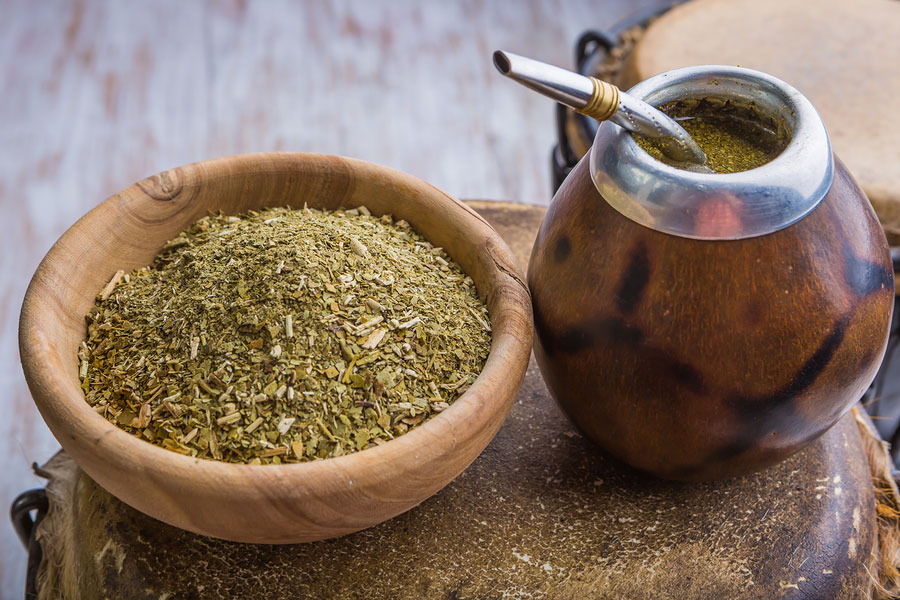 Yerba Mate - Learn About Nature