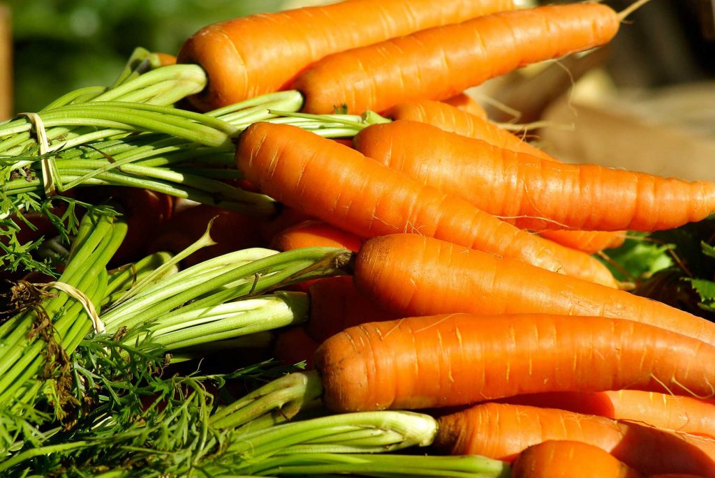 do carrots grow well in cold weather
