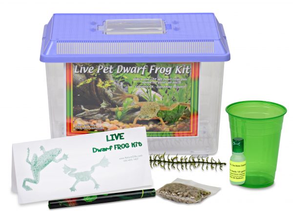 Dwarf Frogs Kit