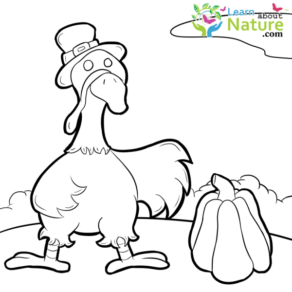 farm-animals-coloring-page-11 - Learn About Nature