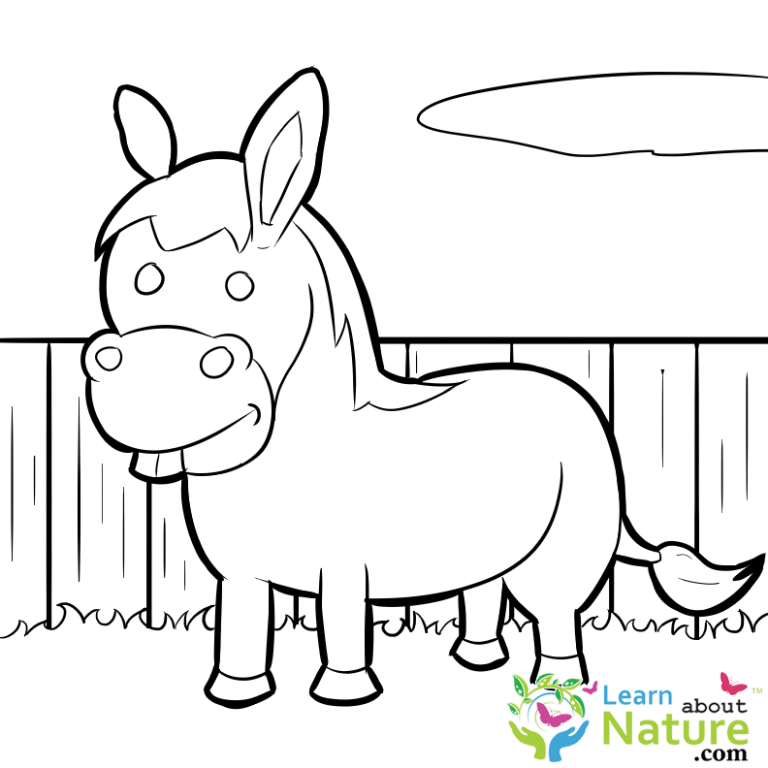 farm-animals-coloring-page-17 - Learn About Nature