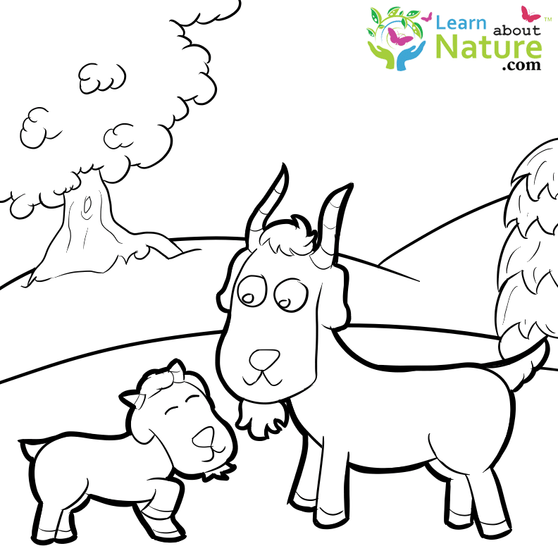 farm-animals-coloring-page-18 - Learn About Nature