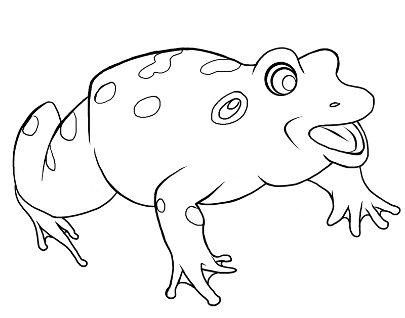 Frog Coloring Pages & Drawings - Learn About Nature