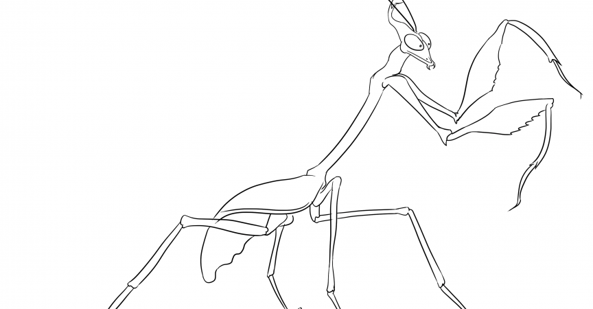 Mantis Coloring Page - Learn About Nature