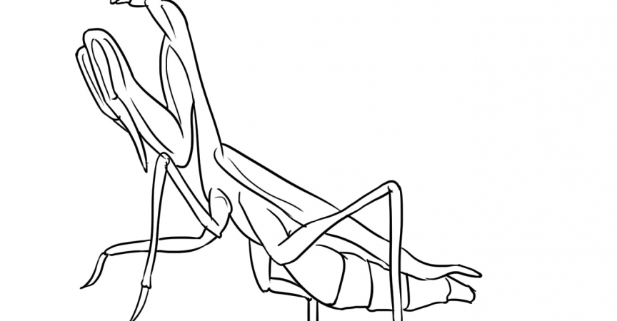 Mantis Coloring Page - Learn About Nature