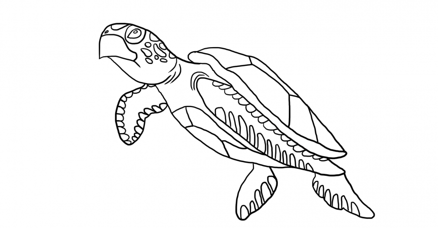 Loudlyeccentric: 32 Snapping Turtle Coloring Pages