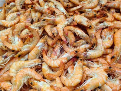 Shrimps & Prawns - Learn About Nature