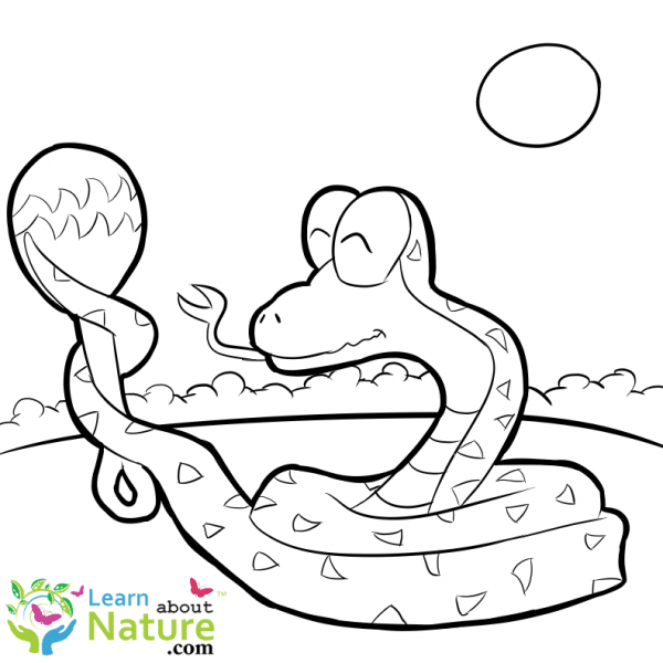 snakes-coloring-page-5 - Learn About Nature